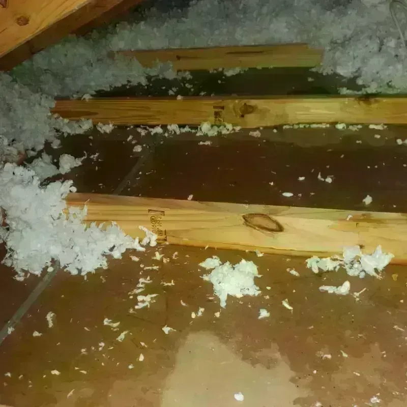 Attic Water Damage in Owasso, OK