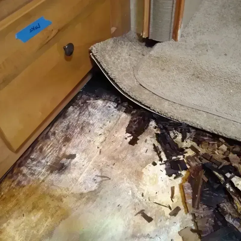 Wood Floor Water Damage in Owasso, OK